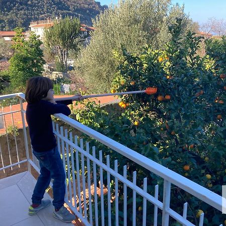 La Terrazza Family Holidays - Sorrento Coast Sant'Agnello Dış mekan fotoğraf