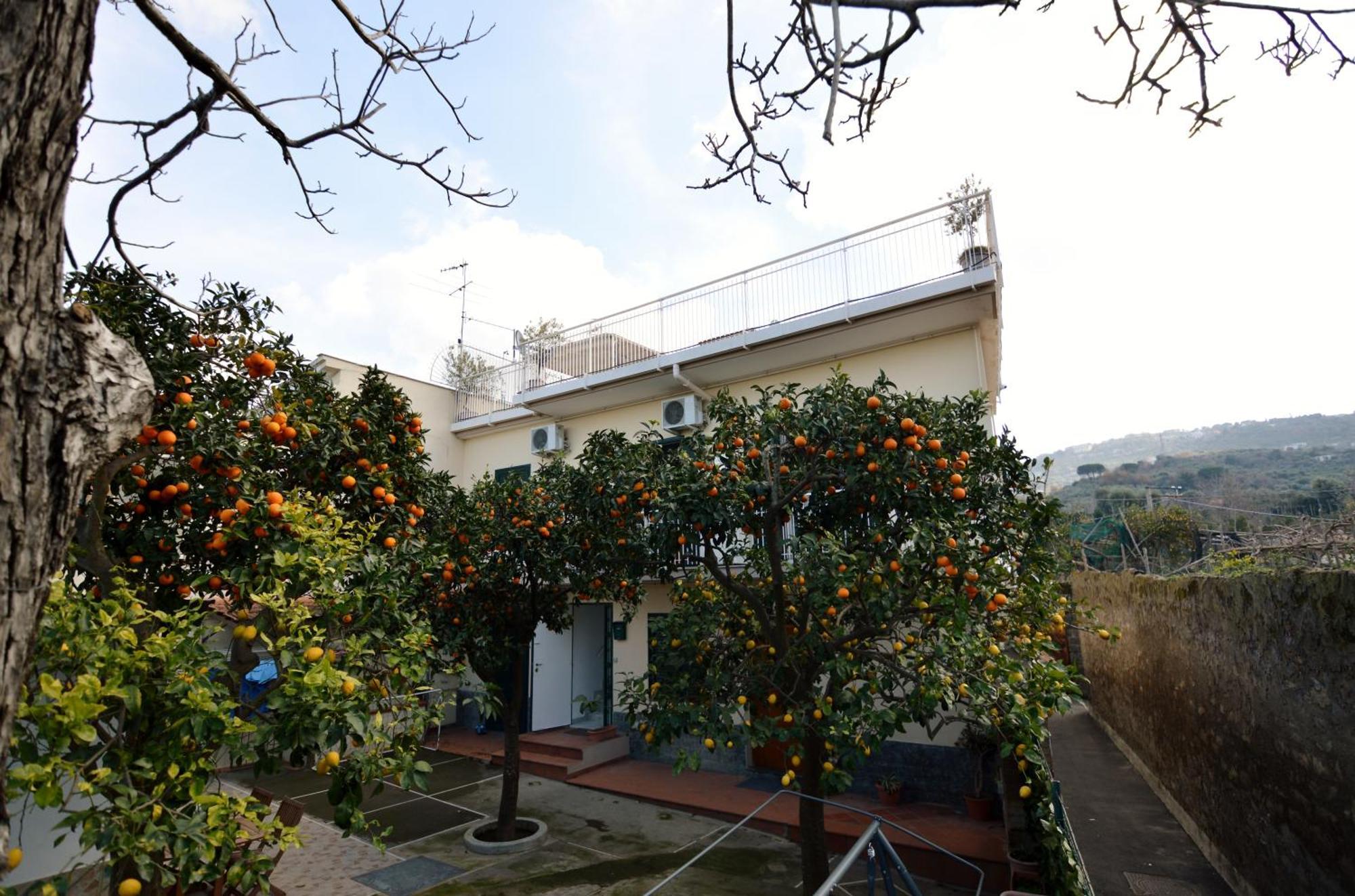 La Terrazza Family Holidays - Sorrento Coast Sant'Agnello Dış mekan fotoğraf