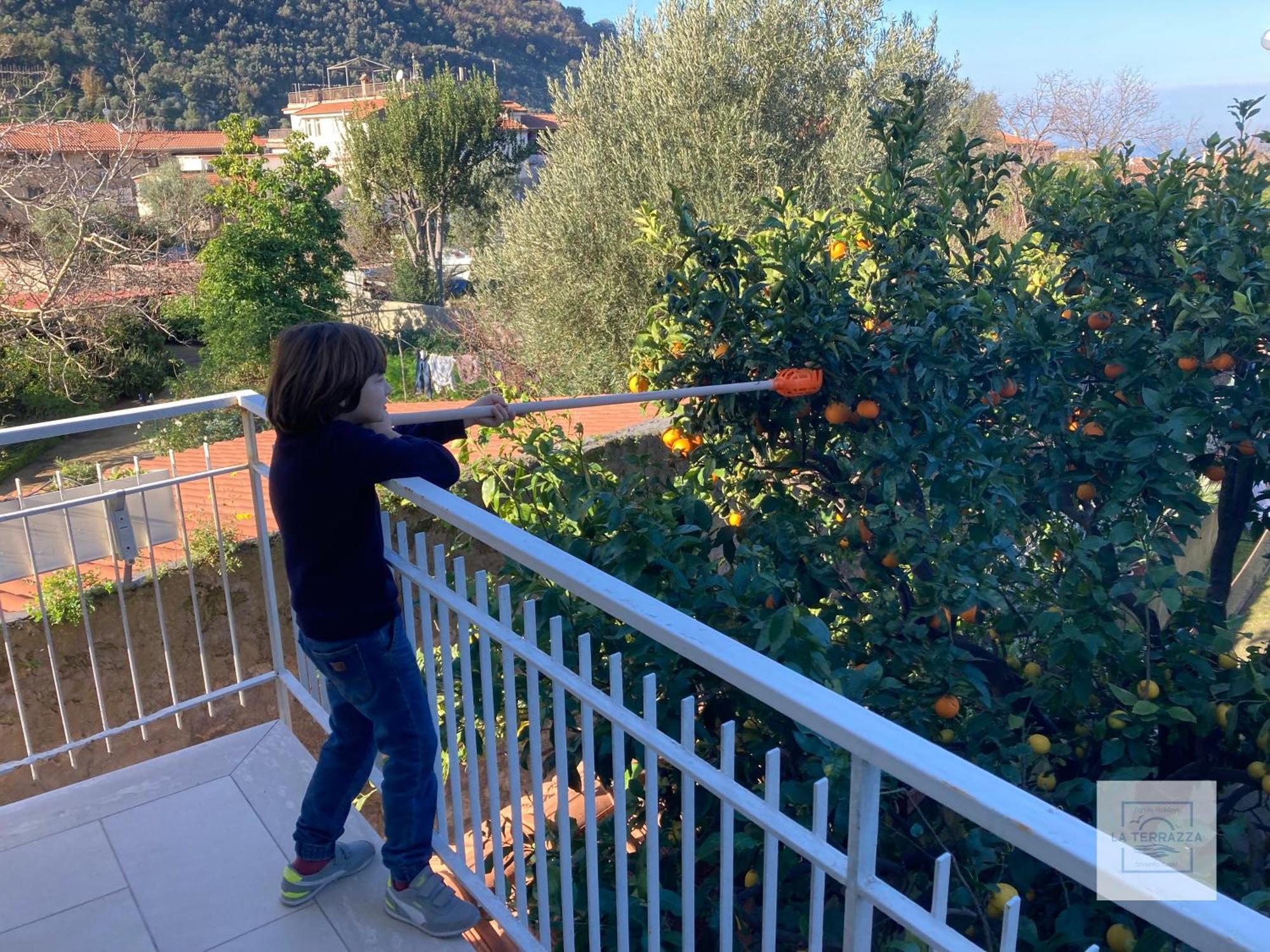 La Terrazza Family Holidays - Sorrento Coast Sant'Agnello Dış mekan fotoğraf